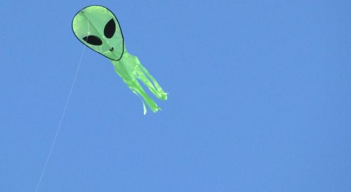 green-alien-kite-steveston