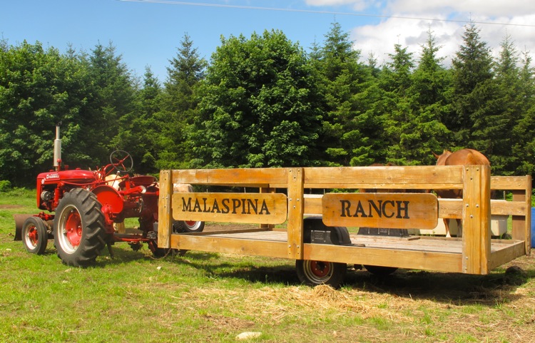 malaspina-ranch