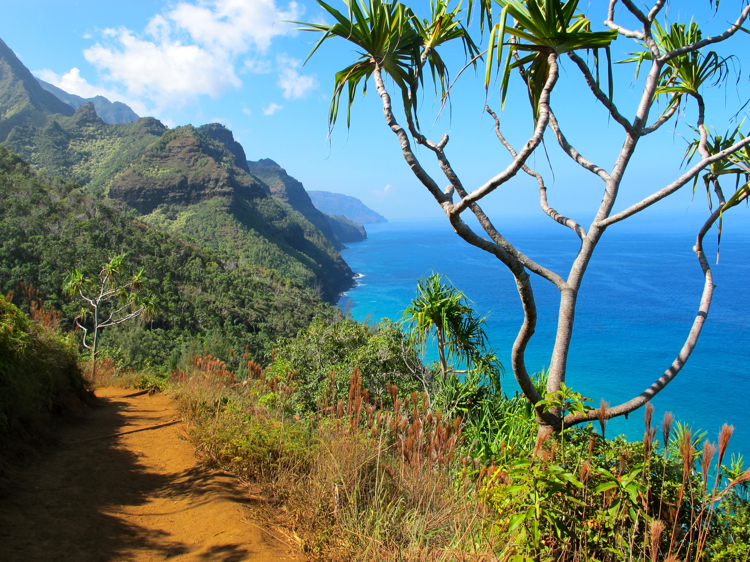 Kauai North Shore Hiking Trail